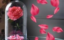एक जादुई भेट - फ्लास्क अंतर्गत दीर्घकाळ टिकणारा गुलाब